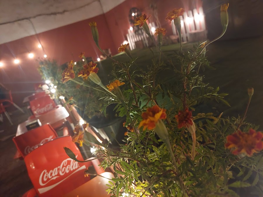 Restaurante El Viejo Cine de Verano La Chopera